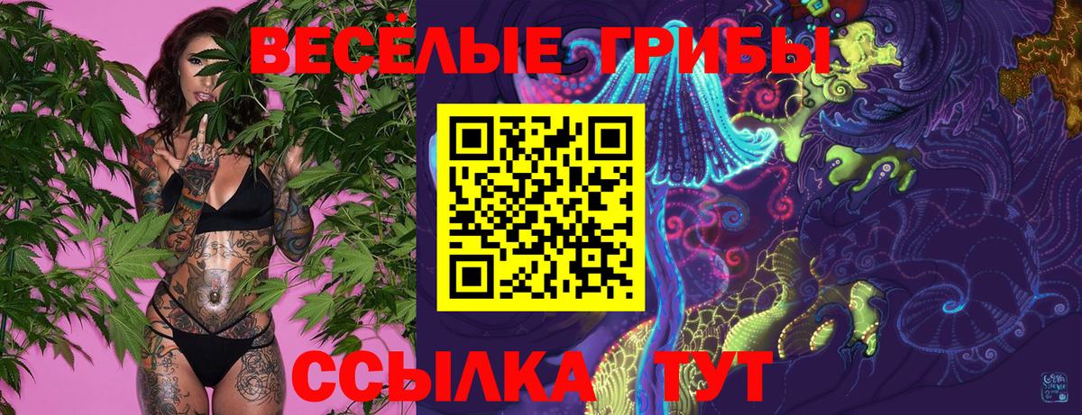 Тамбов  Псилоцибиновые грибы прущие грибы  Вход с VPN 